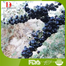 2015 new harvest high quality organic black goji berries/Chinese wolfberries from Ningxia